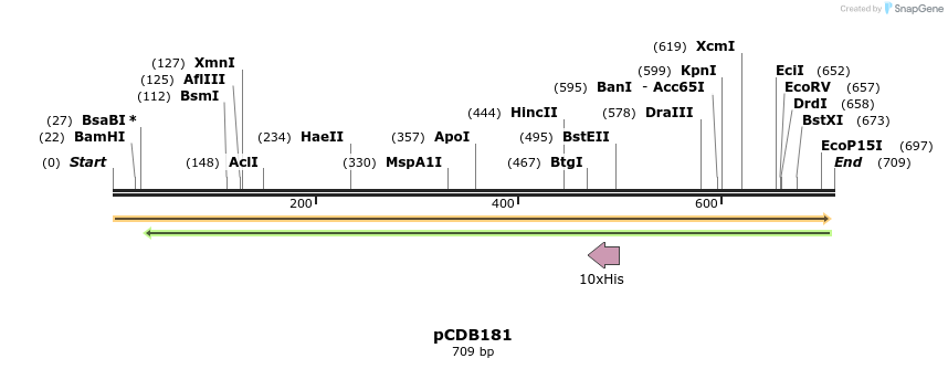 164768_map