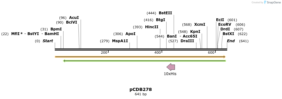 164779_map