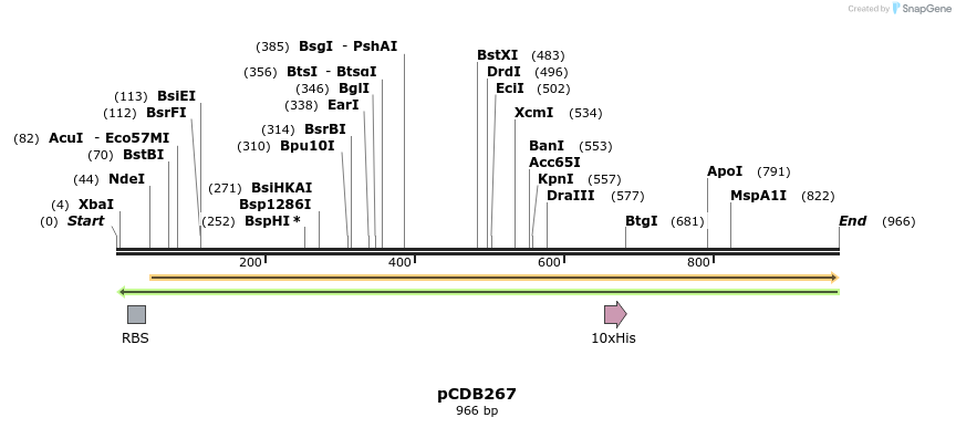 164783_map