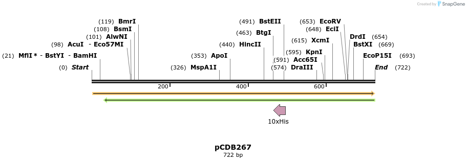 164784_map