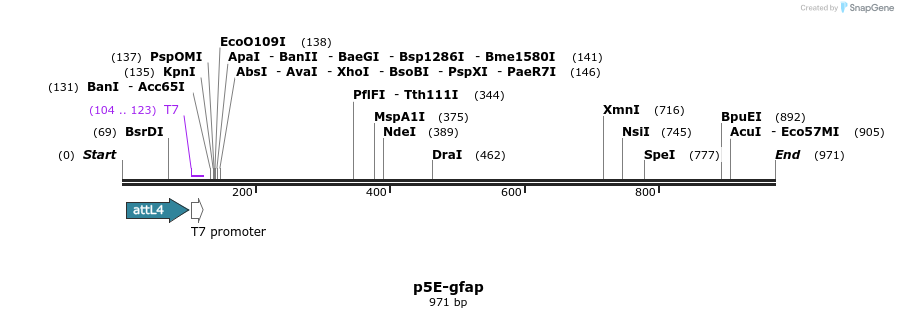 164802_map