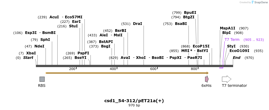 164832_map