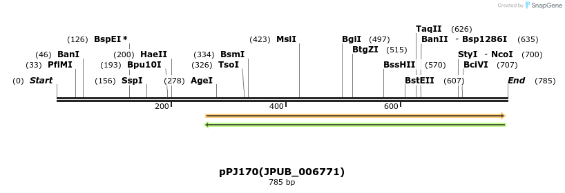 164838_map