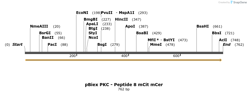 164839_map