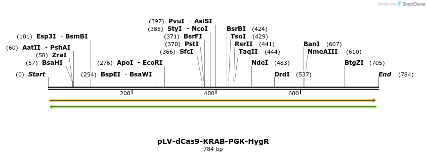 164866_map