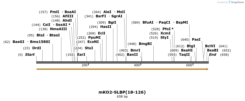 164886_map