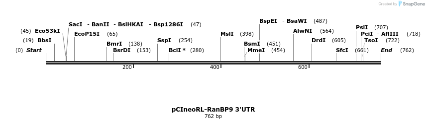 164936_map