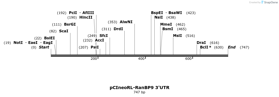 164937_map