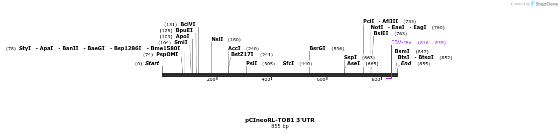 164946_map