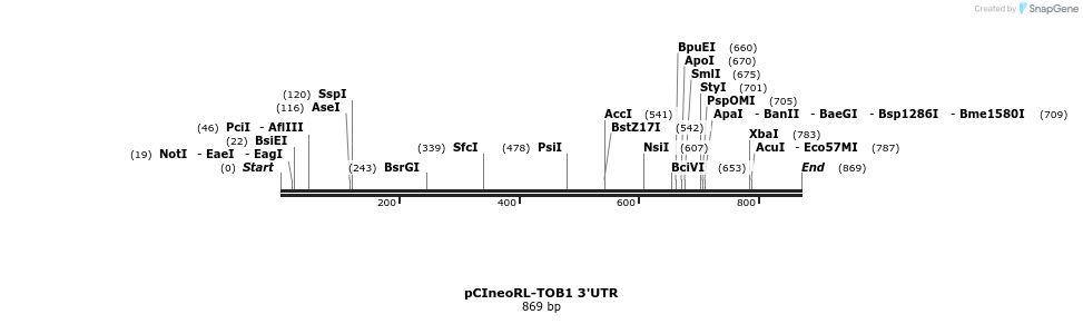 164947_map
