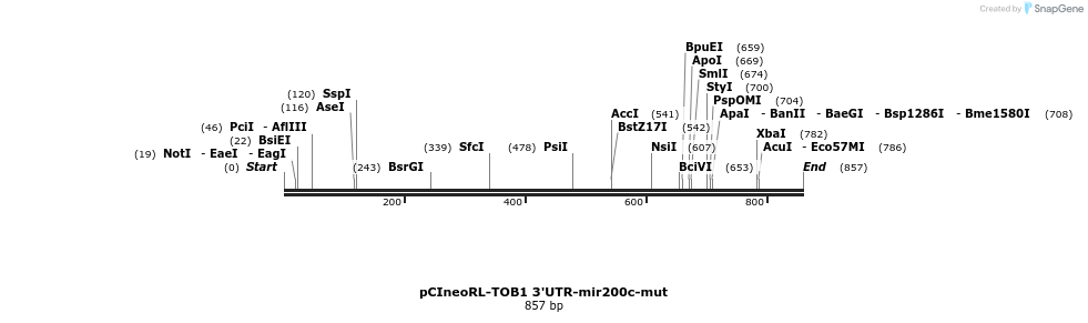 164948_map