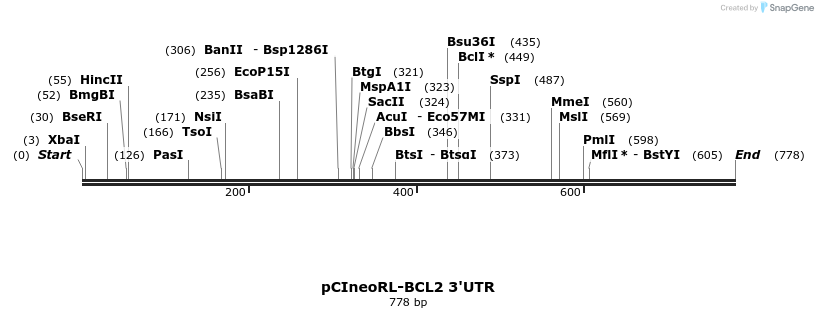 164951_map
