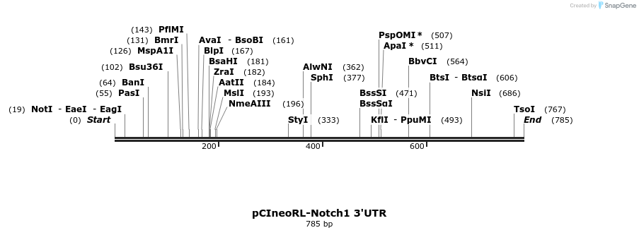164963_map