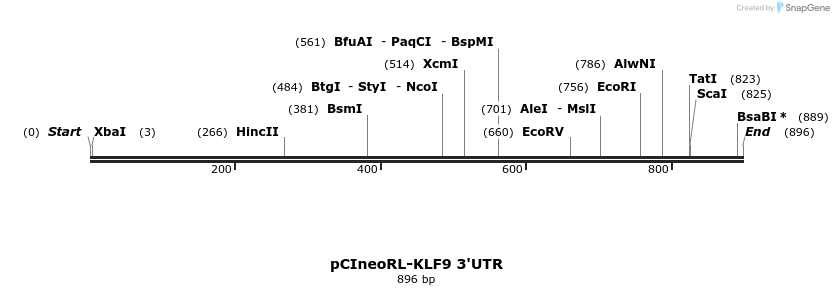 164966_map