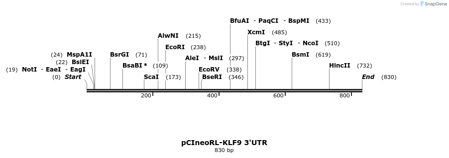 164967_map