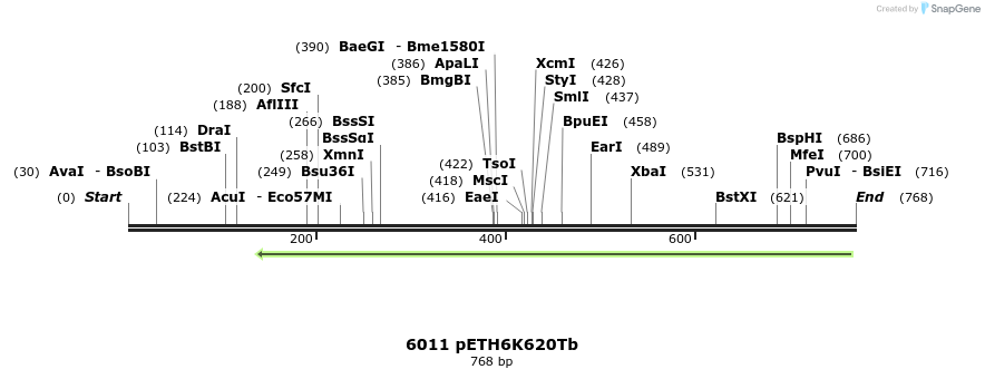 16497_map