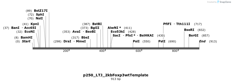 164981_map