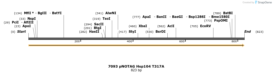 16499_map
