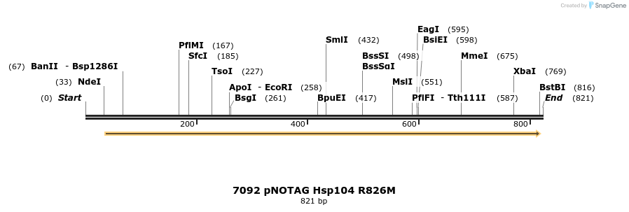 16501_map