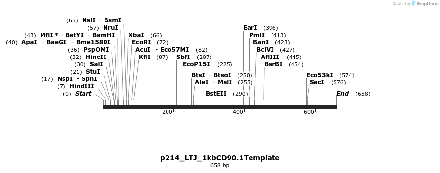 165017_map