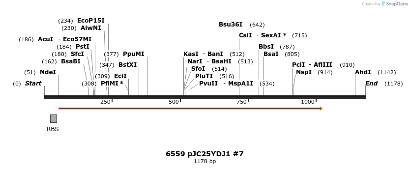 16502_map