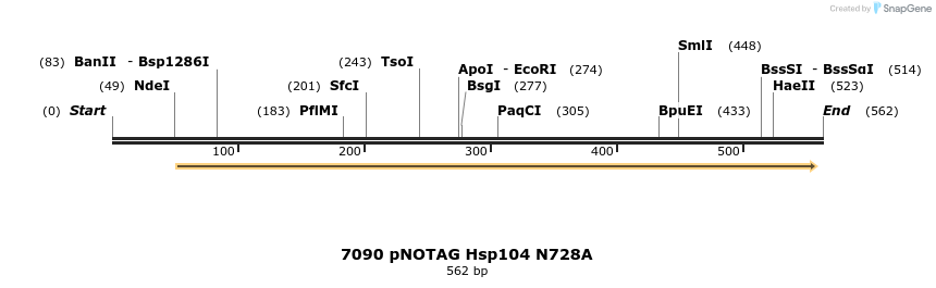 16504_map
