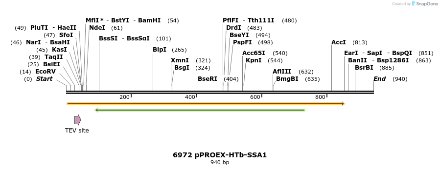 16505_map