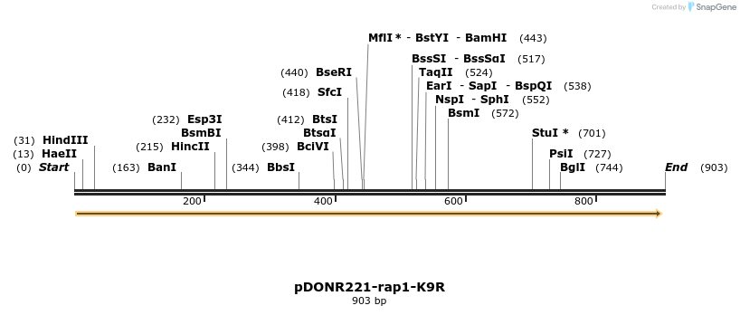 165051_map