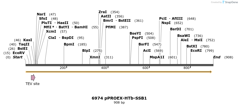 16506_map