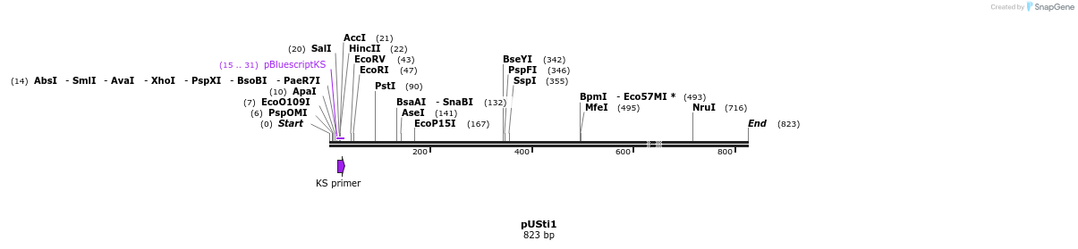 16507_map