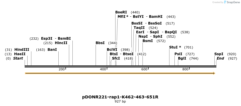 165070_map