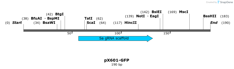 165087_map