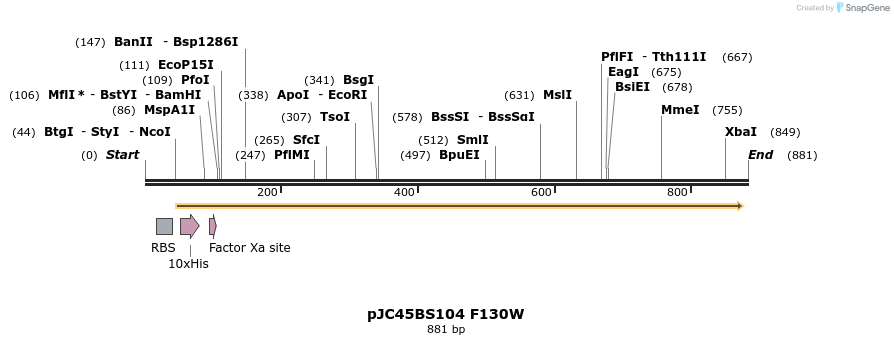16511_map