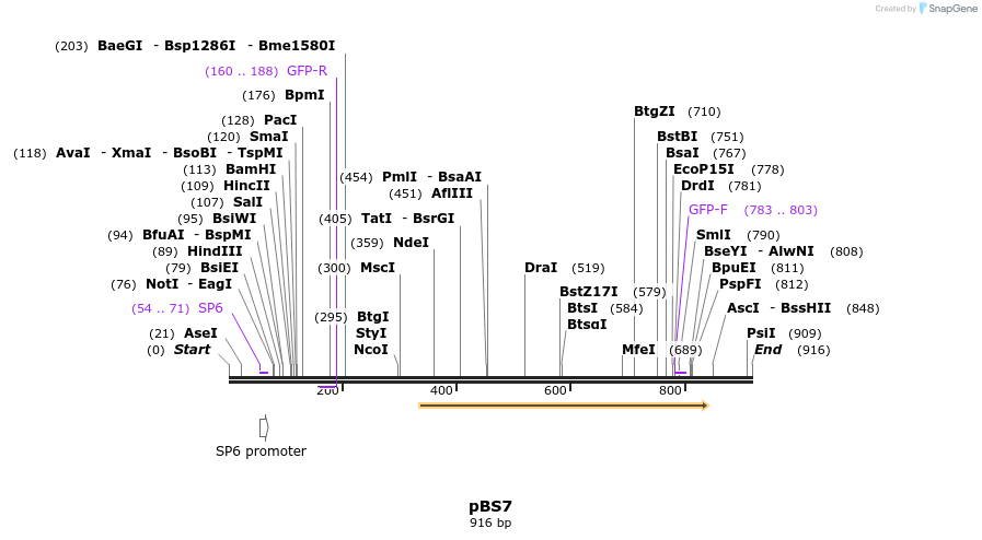 165114_map