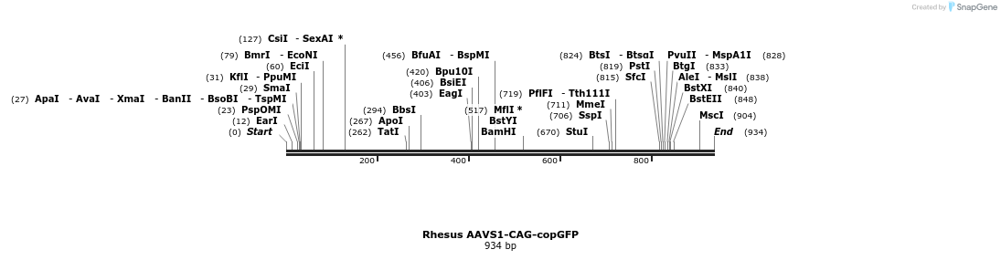 165116_map