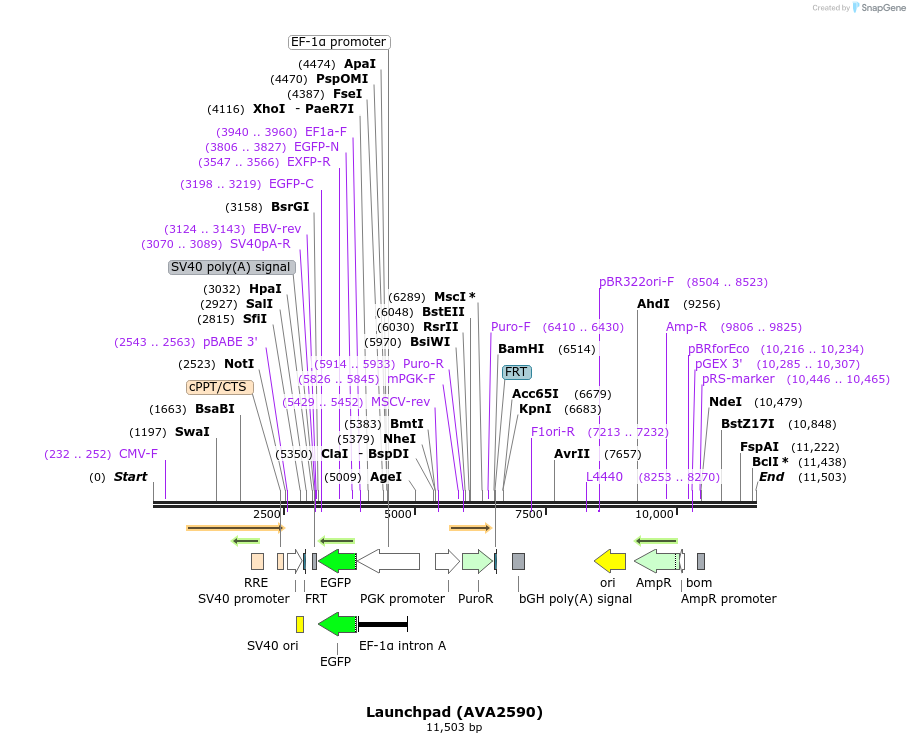 165117_map
