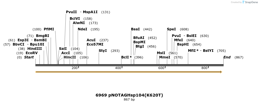 16513_map