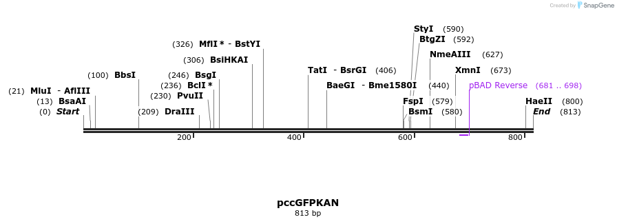 165136_map