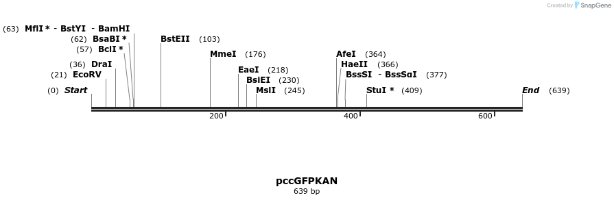 165139_map