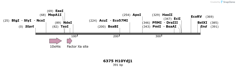16517_map