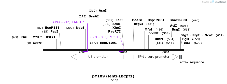 165197_map