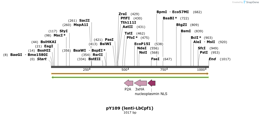 165198_map