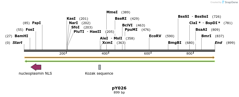 165201_map