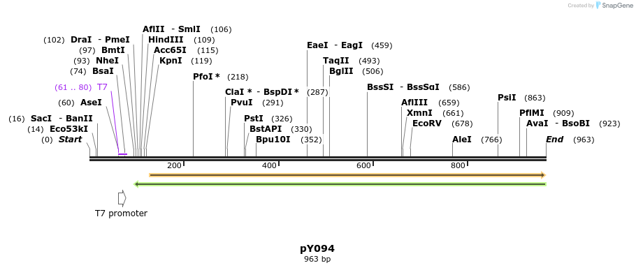 165205_map