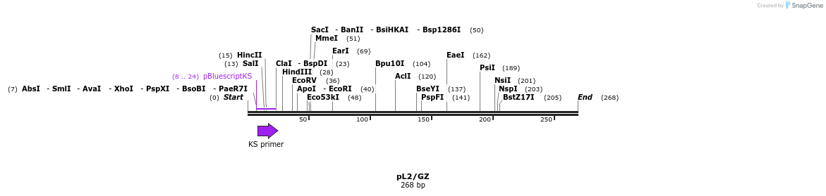 16522_map
