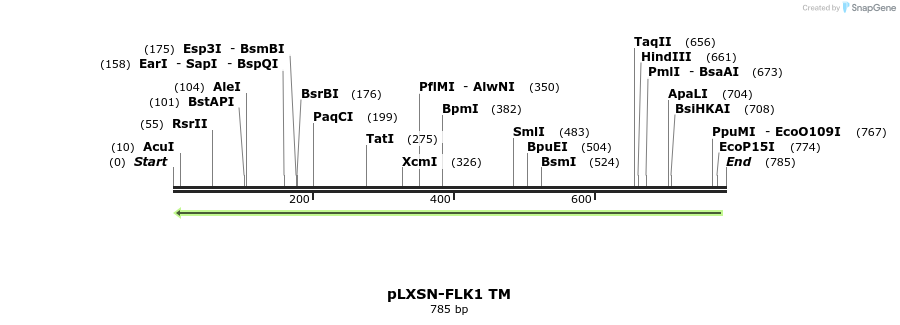 165249_map