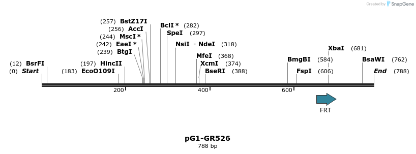 16525_map