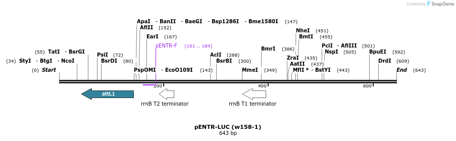 165250_map
