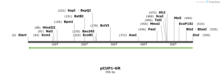 16526_map