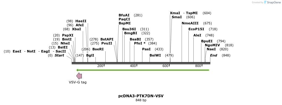 165268_map